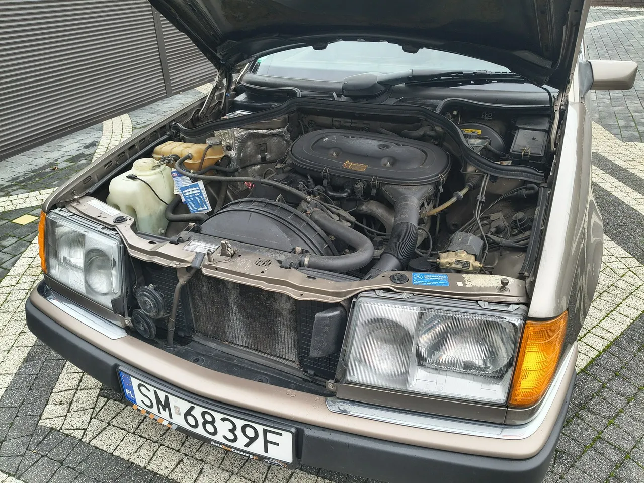 2026/09/89750/1789639082_9573.webp